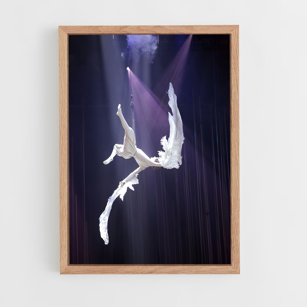 Poster Cirque soleil (vue 4)